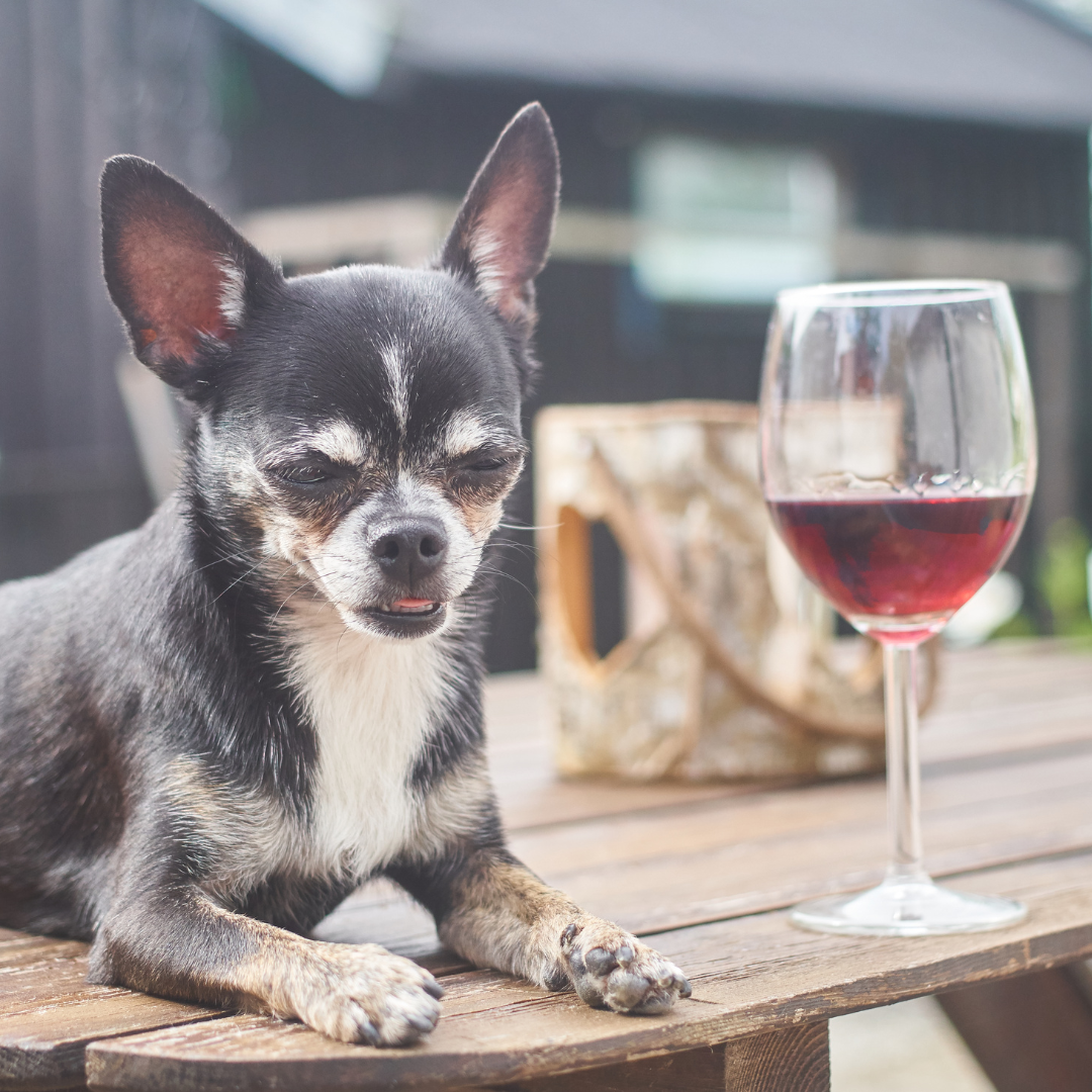 Tail-Wagging Tastings