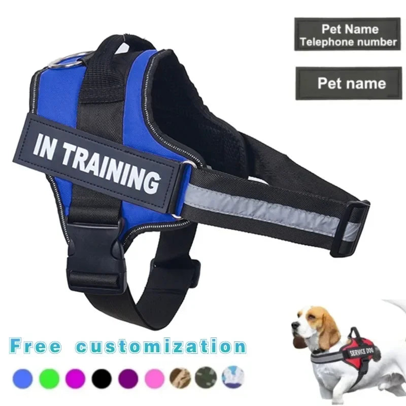 TailorFit Training Harness