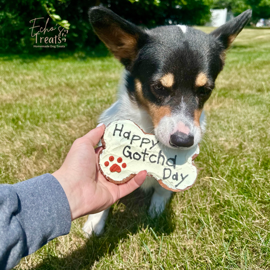 Echo's Celebration Cookies