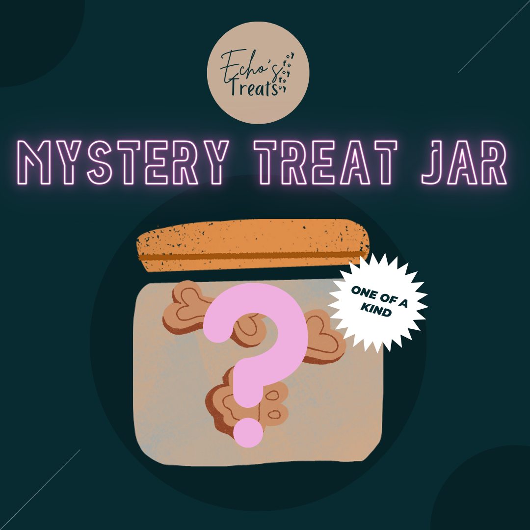 Echo's Mystery Treat Jar