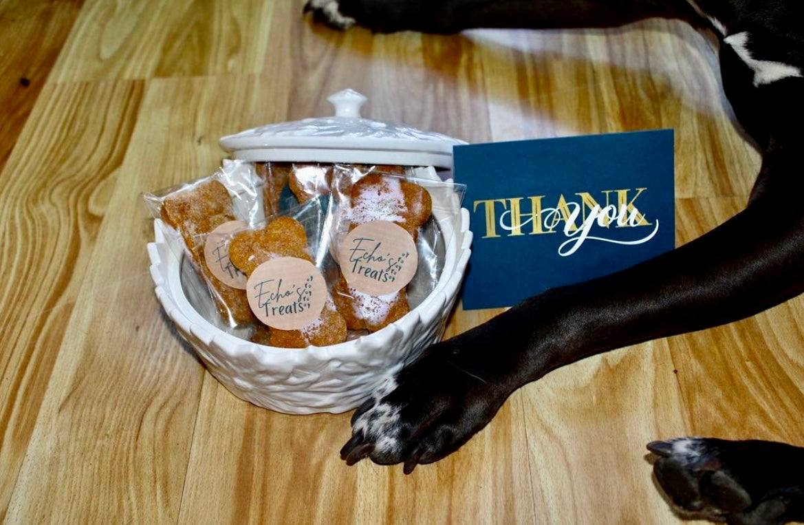 Echo's Mystery Treat Jar